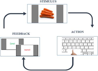 Exploring the dynamic interplay between learning and working memory within various cognitive contexts